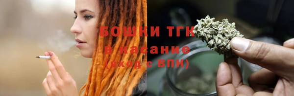 Альфа ПВП Верея