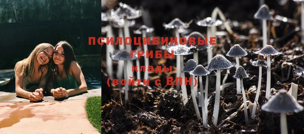 Альфа ПВП Верея