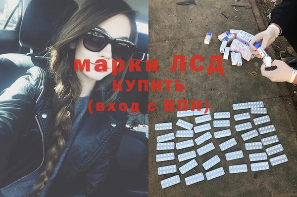 СК Верхний Тагил