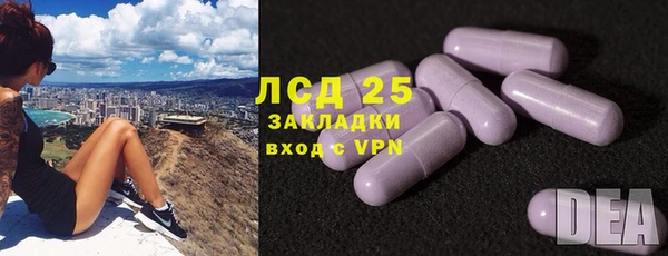 Альфа ПВП Верея