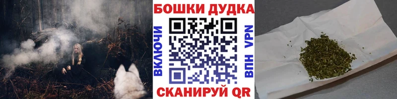 Марихуана сатива  Волосово 